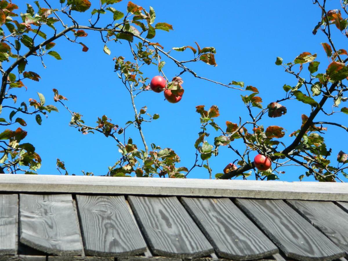 Вилла Glamping Organic Farm Slibar Тржич Экстерьер фото