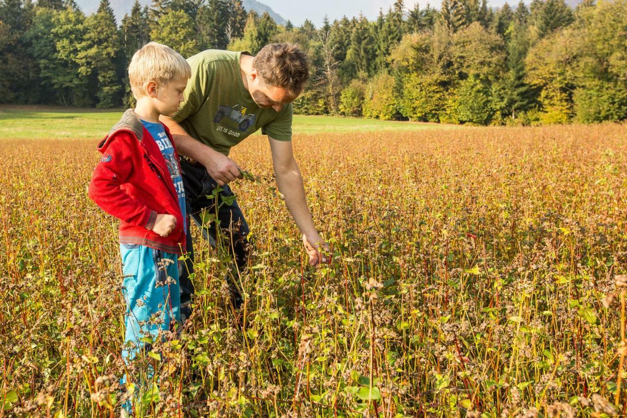 Вилла Glamping Organic Farm Slibar Тржич Экстерьер фото